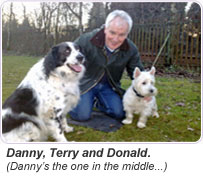 About Danny McBride